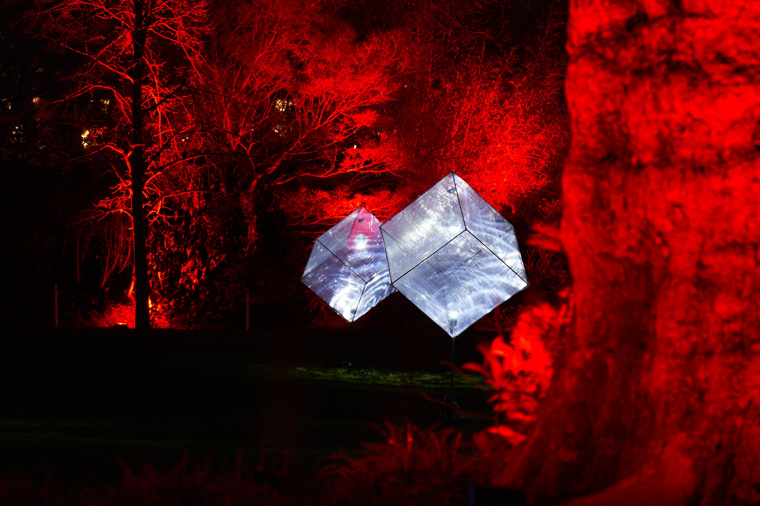 2023 01 23 Parkleuchten 0185